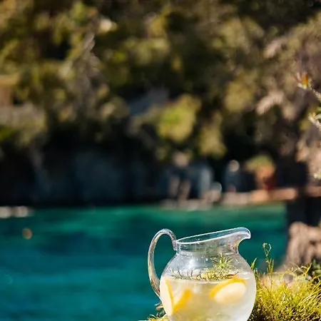 Villa Puddinga,portofino,private Access,private Boat,staff Included Portofino